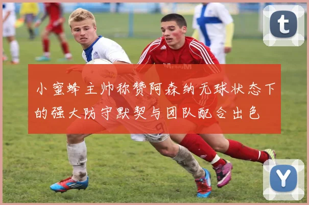小蜜蜂主帅称赞阿森纳无球状态下的强大防守默契与团队配合出色