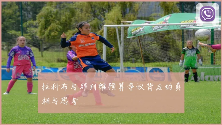拉科布与邓利维预算争议背后的真相与思考